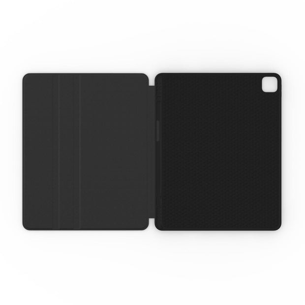 Apple iPad Case